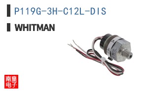 P119G-3H-C12L-DIS ͼƬ